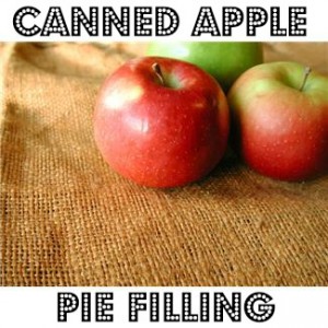 Apple Pie Filling - Long Wait For Isabella